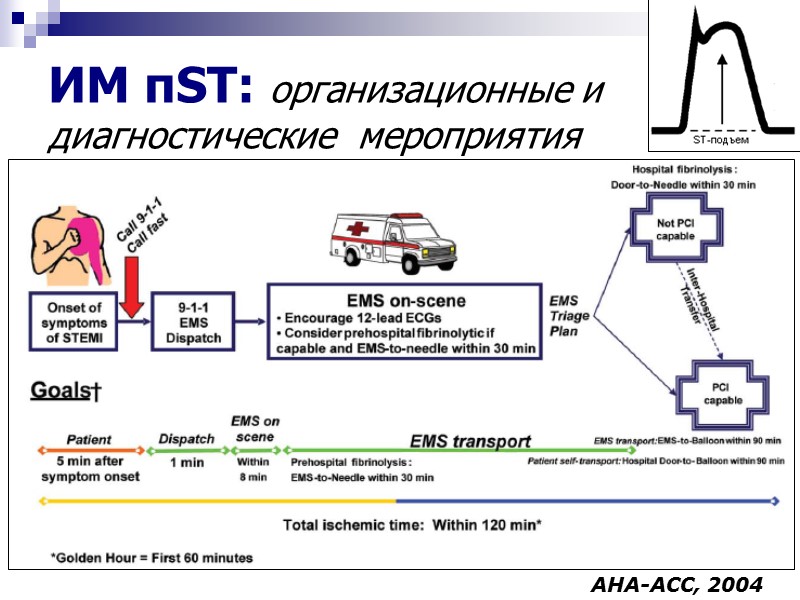 ИМ пST: организационные и диагностические  мероприятия АНА-АСС, 2004